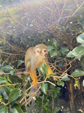 長崎バイオパークに投稿された画像（2021/8/7）