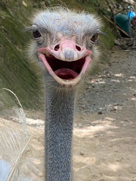 長崎バイオパークに投稿された画像（2021/8/7）