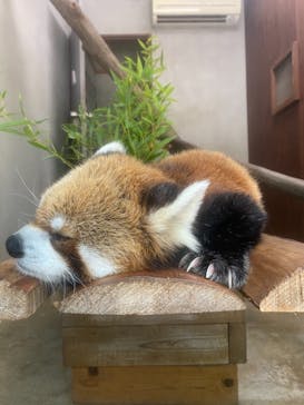 長崎バイオパークに投稿された画像（2021/8/7）