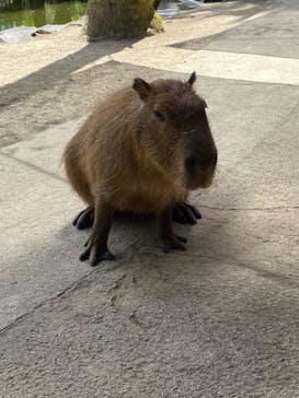 長崎バイオパークに投稿された画像（2021/8/7）