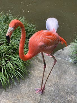 長崎バイオパークに投稿された画像（2021/8/7）