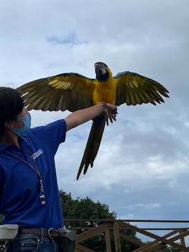 那須どうぶつ王国に投稿された画像（2021/8/7）