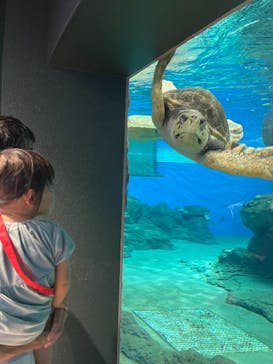 名古屋港水族館に投稿された画像（2021/8/7）