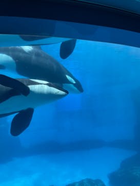 名古屋港水族館に投稿された画像（2021/8/7）