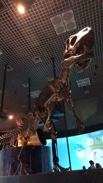 国立科学博物館に投稿された画像（2021/8/7）