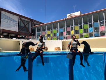 伊豆・三津シーパラダイスに投稿された画像（2021/8/7）