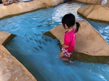 伊豆・三津シーパラダイスに投稿された画像（2021/8/7）