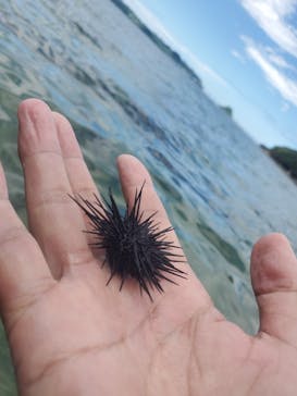 ホワイトウイングに投稿された画像（2021/8/7）