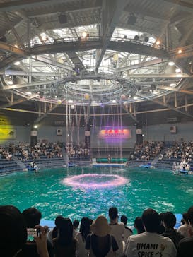 マクセル アクアパーク品川に投稿された画像（2021/8/7）