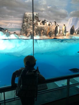 名古屋港水族館に投稿された画像（2021/8/7）