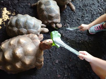 体感型動物園iZooに投稿された画像（2021/8/7）