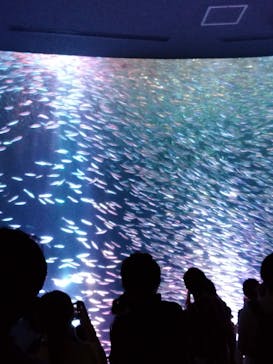 名古屋港水族館に投稿された画像（2021/8/7）