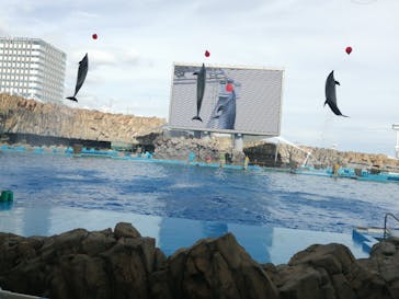 名古屋港水族館に投稿された画像（2021/8/7）