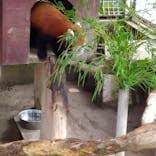 熱川バナナワニ園に投稿された画像（2021/8/7）