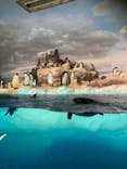 名古屋港水族館に投稿された画像（2021/8/7）
