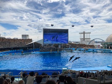 名古屋港水族館に投稿された画像（2021/8/7）