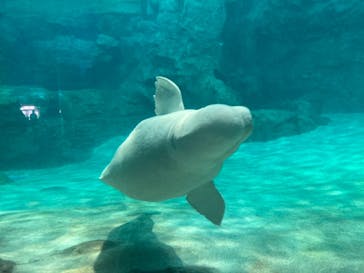 名古屋港水族館に投稿された画像（2021/8/7）