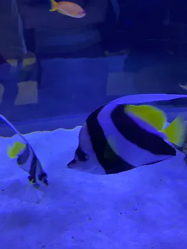 すみだ水族館に投稿された画像（2021/8/7）