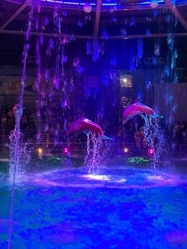 マクセル アクアパーク品川に投稿された画像（2021/8/7）