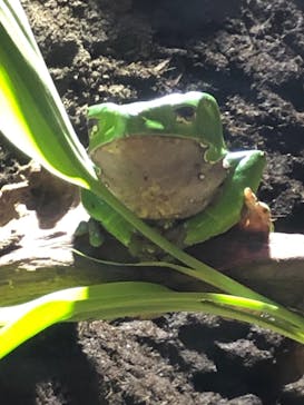 マクセル アクアパーク品川に投稿された画像（2021/8/7）