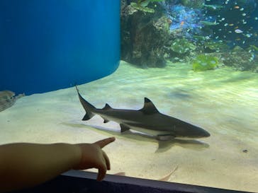 マクセル アクアパーク品川に投稿された画像（2021/8/7）