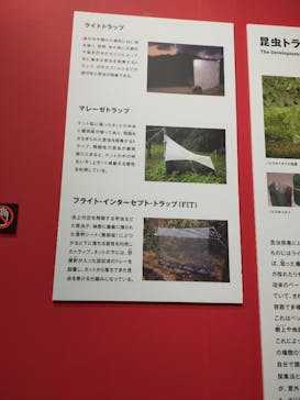 特別展「昆虫」(名古屋市科学館)に投稿された画像（2021/8/7）
