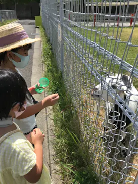 天王寺動物園に投稿された画像（2021/8/7）