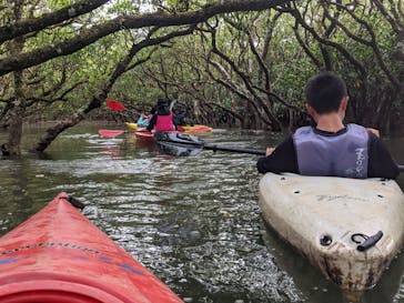 マングローブ茶屋に投稿された画像（2021/8/8）