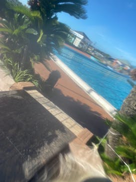 蓮沼ウォーターガーデンに投稿された画像（2021/8/8）