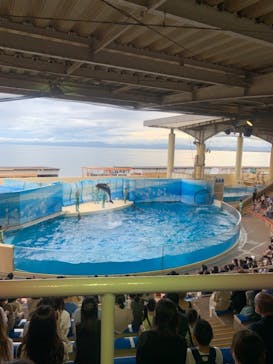 新江ノ島水族館に投稿された画像（2021/8/8）