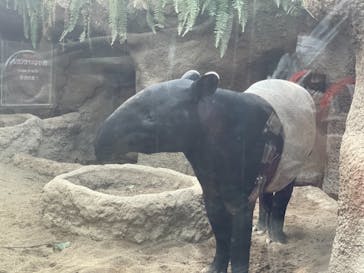 神戸どうぶつ王国に投稿された画像（2021/8/8）