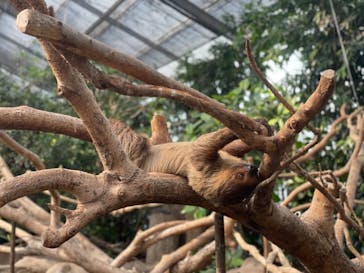 神戸どうぶつ王国に投稿された画像（2021/8/8）