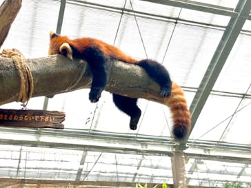 神戸どうぶつ王国に投稿された画像（2021/8/8）