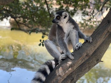 神戸どうぶつ王国に投稿された画像（2021/8/8）