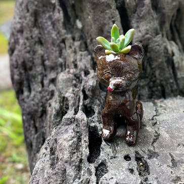 赤瓦陶芸館に投稿された画像（2021/8/8）