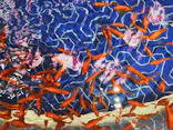 すみだ水族館に投稿された画像（2021/8/8）