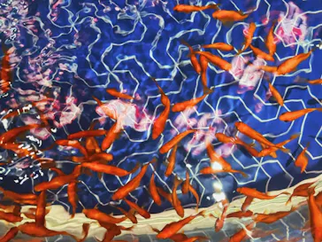 すみだ水族館に投稿された画像（2021/8/8）