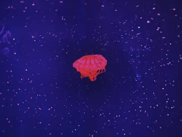 すみだ水族館に投稿された画像（2021/8/8）