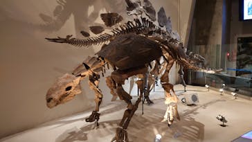 国立科学博物館に投稿された画像（2021/8/8）