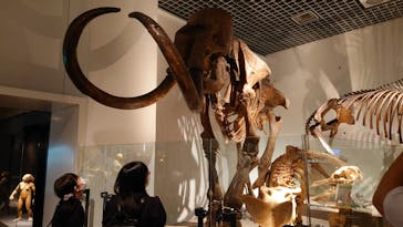 国立科学博物館に投稿された画像（2021/8/8）