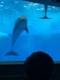 大分マリーンパレス水族館 「うみたまご」に投稿された画像（2021/8/8）