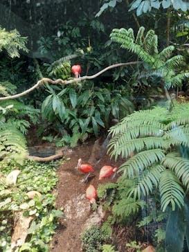 カワスイ 川崎⽔族館に投稿された画像（2021/8/8）