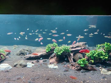 カワスイ 川崎⽔族館に投稿された画像（2021/8/8）