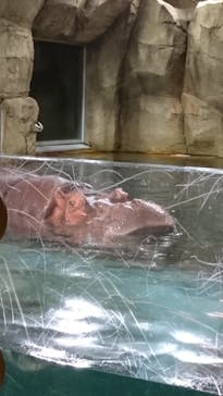 旭川市旭山動物園に投稿された画像（2021/8/8）