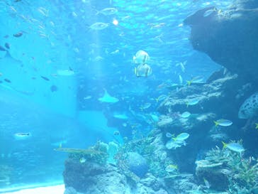 名古屋港水族館に投稿された画像（2021/8/7）