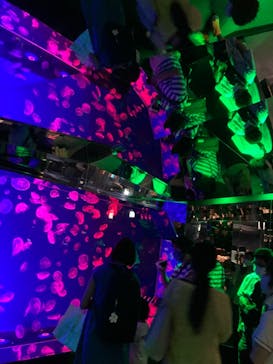 名古屋港水族館に投稿された画像（2021/8/8）