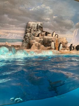 名古屋港水族館に投稿された画像（2021/8/8）