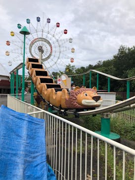 群馬サファリパークに投稿された画像（2021/8/8）