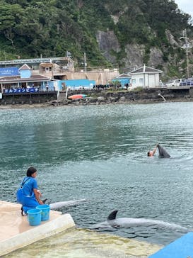 下田海中水族館に投稿された画像（2021/8/8）