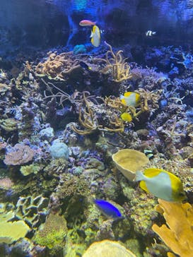 名古屋港水族館に投稿された画像（2021/8/8）